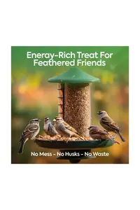5L Bag No Mess Seeds Mix - Direct Deals 123 Wild Birds Food