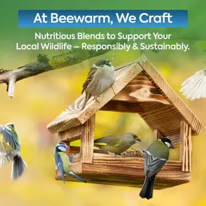 3L Tub No Mess Seeds Mix - Direct Deals 123 Wild Birds Food
