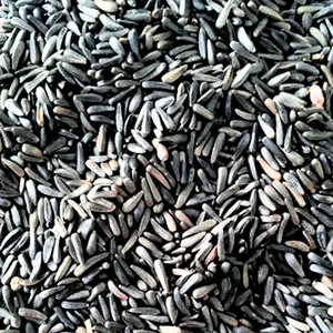 12.55kg Niger Seeds - Direct Deals 123 Wild Birds Food