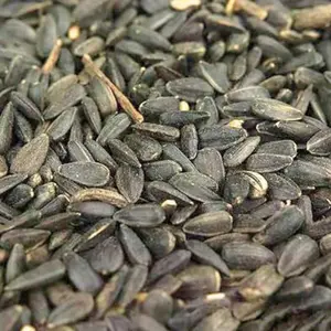 10kg Black Sunflower Seeds - Direct Deals 123 Wild Birds Food