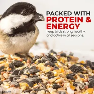10kg Mix Seeds - Direct Deals 123 Wild Birds Food
