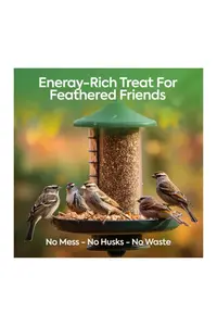 10kg No Mess Seeds Mix - Direct Deals 123 Wild Birds Food